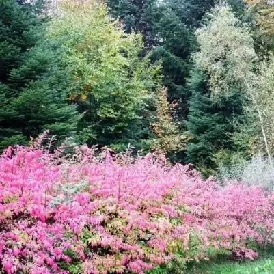Nature dans les Vosges, autour du lac de Bouzey