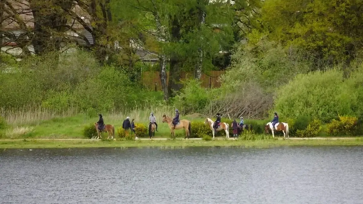 Activité équestre au bord du lac de Bouzey