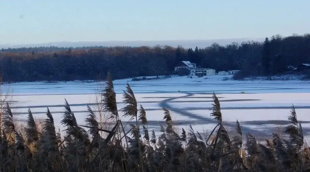 lac de Bouzey en hiver