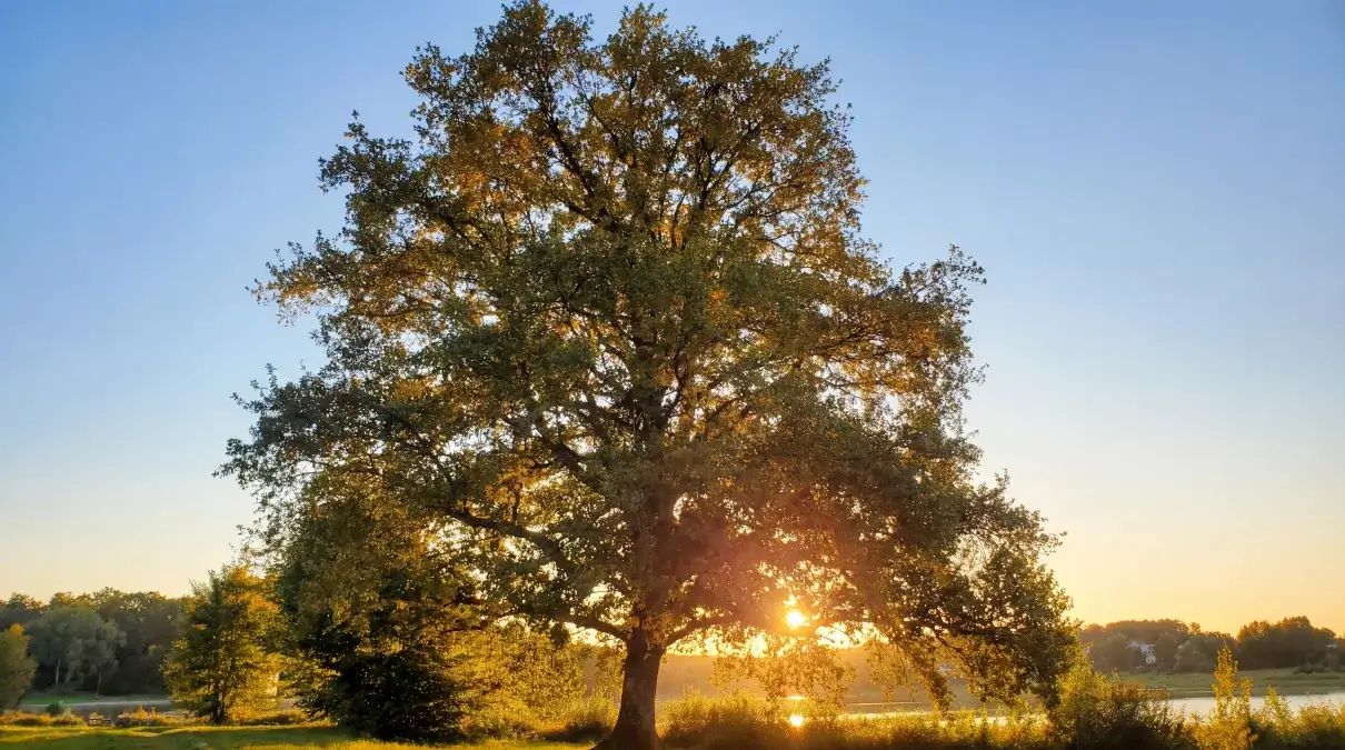 Levée de soleil au chalet des Amis de la Nature