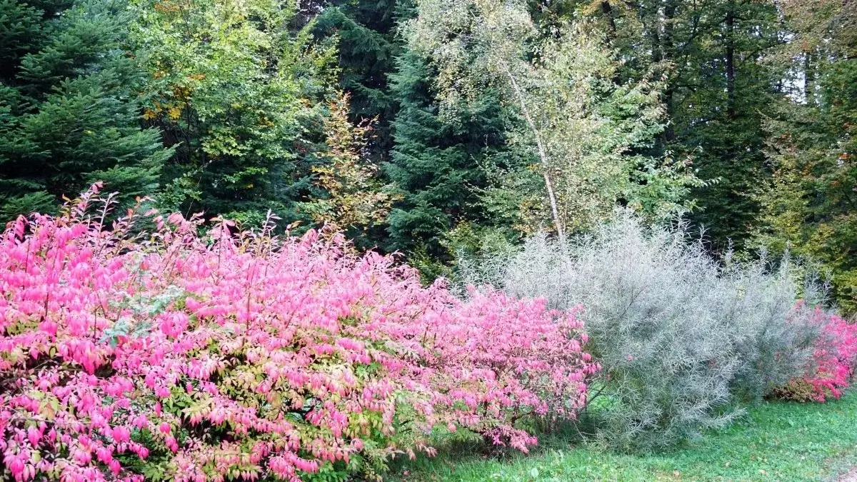 Paysage naturel du chalet et camping du lac de Bouzey