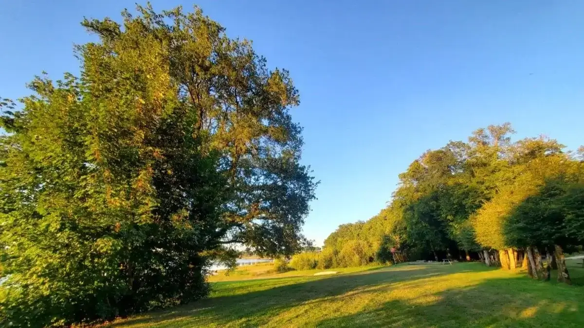Terrain du chalet du lac de Bouzey